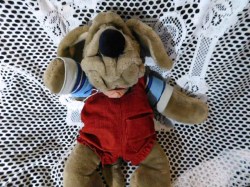 wrinkles dog red cord b
